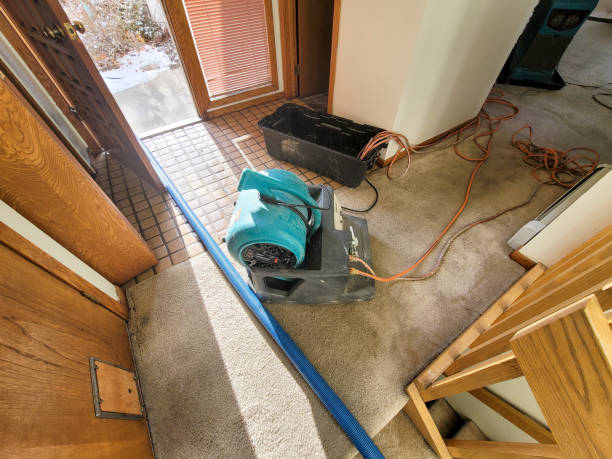 Best Emergency water extraction  in Fairfield Beach, OH
