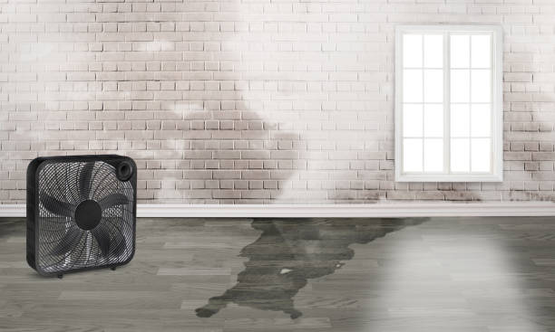 Best Water damage cleanup near me  in Fairfield Beach, OH