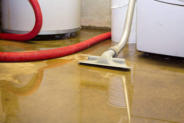 Best Sewage cleanup and water damage restoration  in Fairfield Beach, OH